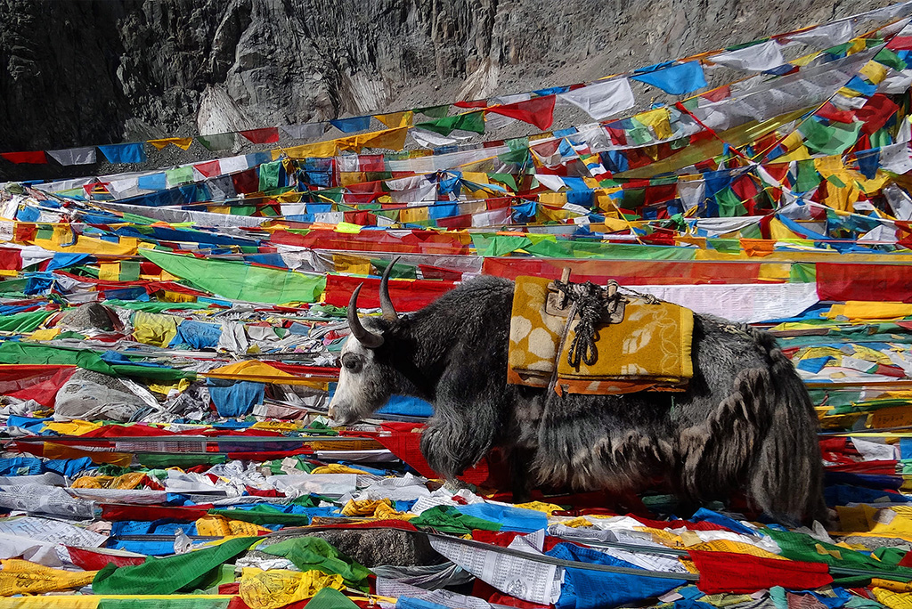 Things to Know Before Trekking in Tibet